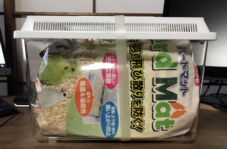 文鳥飼育初心者、こんな飼育グッズを買い増した｜文鳥ぴより