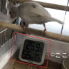 「文鳥飼育」温湿度計をこの場所におく理由