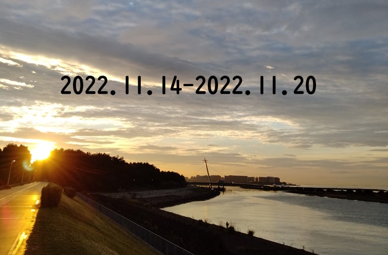 東京の東の端から・わたしのウォーキング記録（2022.11月3週目）