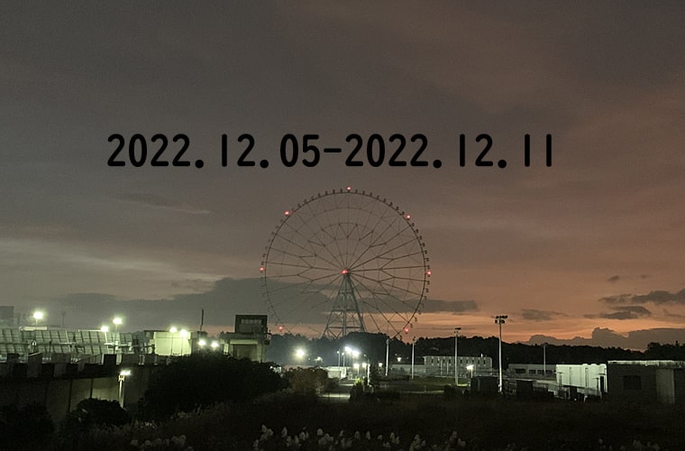 東京の東の端から・わたしのウォーキング記録（2022.12月2週目）