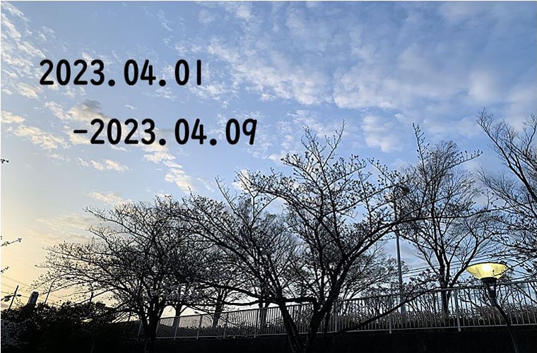 東京の東の端から・わたしのウォーキング記録（2023.4月1週目）