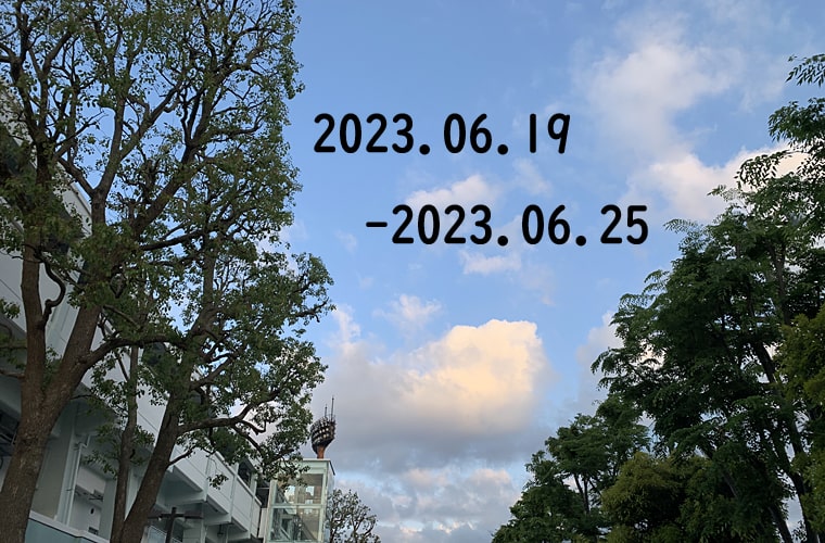 東京の東の端から・わたしのウォーキング記録（2023.6月4週目）