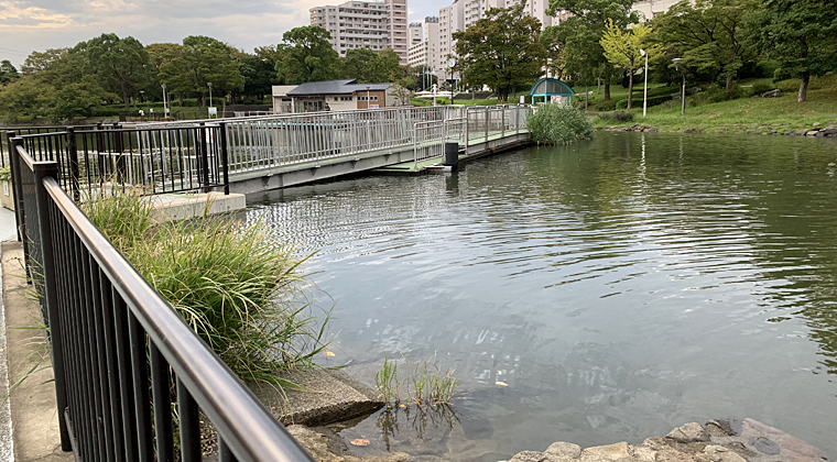 東京の東の端からわたしのウォーキング記録2023.10.1かなり高い水位