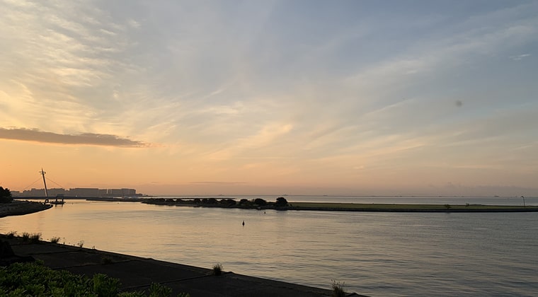 東京の東の端からわたしのウォーキング記録2023.10.20久しぶりに海まで歩いて来ました