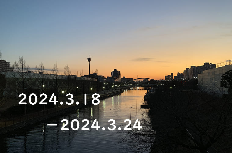 東京の東の端から「わたしのウォーキング記録」（2024.３月4週目）
