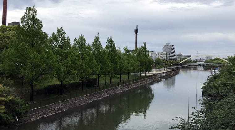 東京の東端からわたしのウォーキング記録（2024.5.14）4日ぶりの早朝ウォーキング