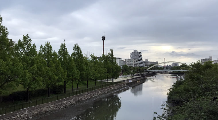 東京の東端からわたしのウォーキング記録（2024.6.1）