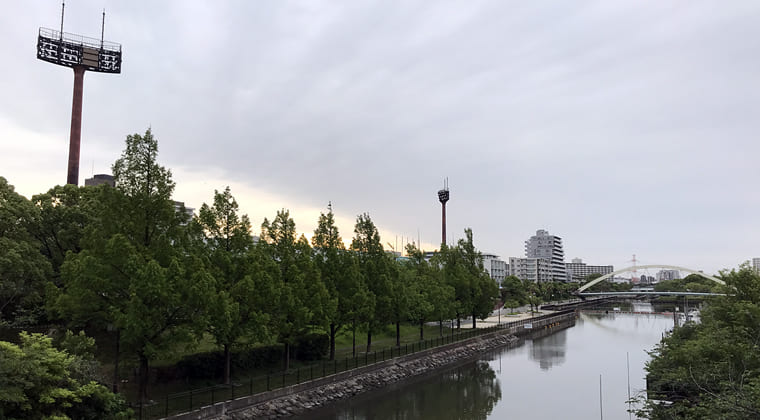 東京の東端からわたしのウォーキング記録（2024.6.13）鈍より雲