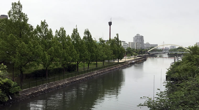 東京の東端からわたしのウォーキング記録（2024.6.21）曇り空