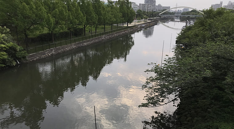 東京の東端からわたしのウォーキング記録（2024.6.26）一日曇り