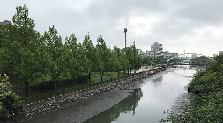 東京の東端からわたしのウォーキング記録（2024.6.30）