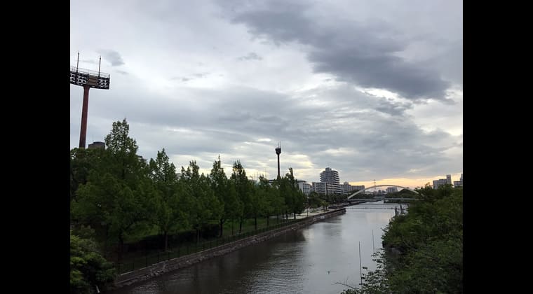 東京の東端からわたしのウォーキング記録（2024.7.11）強い風