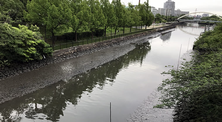 東京の東端からわたしのウォーキング記録（2024.7.2）