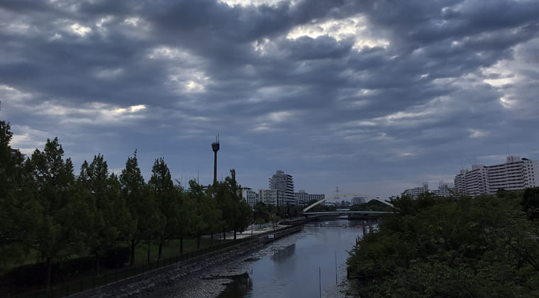 東京の東端からわたしのウォーキング記録（2024.7.31）朝は鈍より