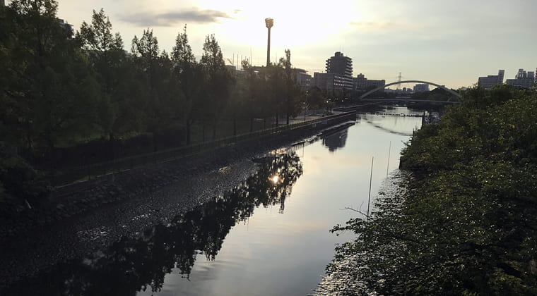 東京の東の端からわたしのウォーキング記録（2024.8.1）