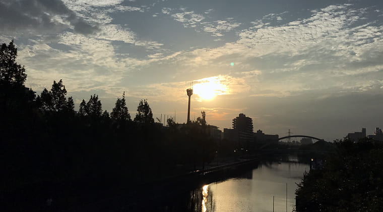 東京の東の端からわたしのウォーキング記録（2024.8.12）うろこ雲