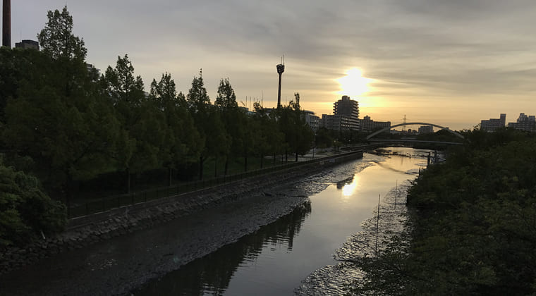 東京の東の端からわたしのウォーキング記録（2024.8.29）干潮・朝焼け