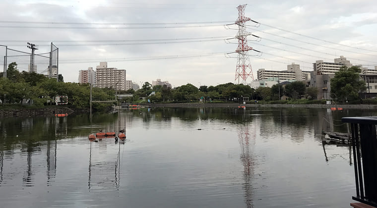 東京の東の端からわたしのウォーキング記録（2024.9.19）親水公園東端