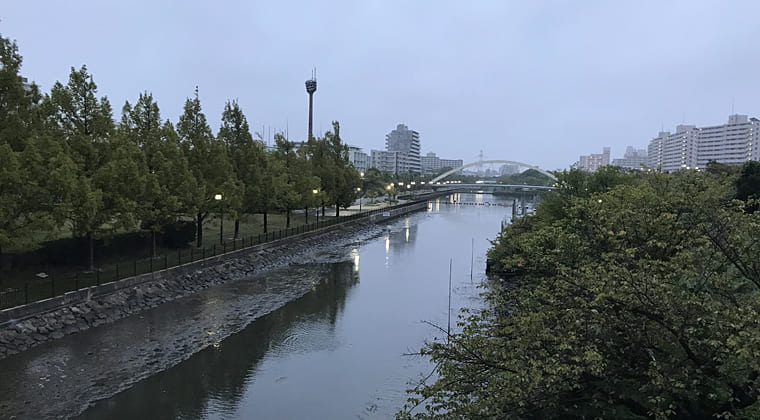 東京の東の端からわたしのウォーキング記録（2024.9.27）雨の中を散歩