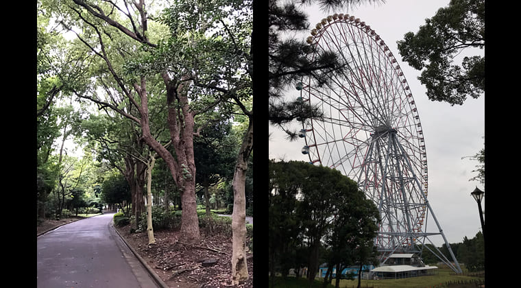 東京の東の端からわたしのウォーキング記録（2024.9.28）緑道を臨海公園まで