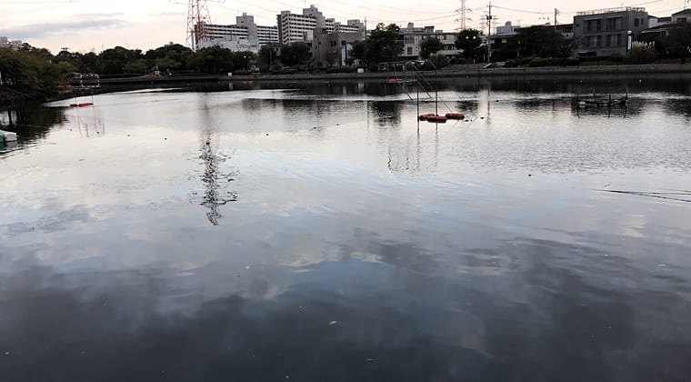 東京の東の端からわたしのウォーキング記録（2024.10.24）これから晴れそう