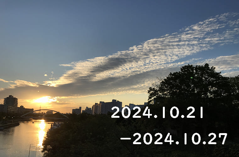 東京の東の端から「わたしのウォーキング記録」（2024・10月4週）