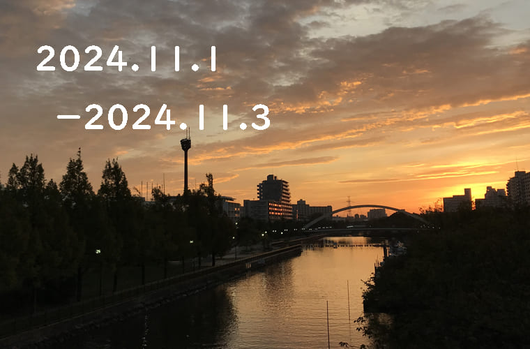 東京の東の端から「わたしのウォーキング記録」（2024・11月1週）