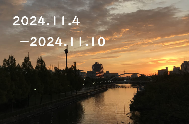 東京の東の端から「わたしのウォーキング記録」（2024・11月２週）