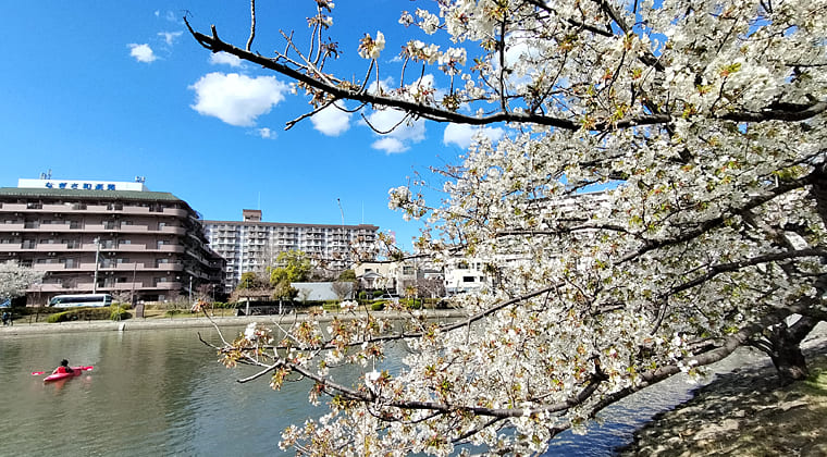 東京の東の端からわたしのウォーキング記録（2025.4.4）3