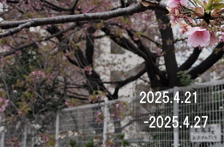 東京の東の端から「わたしのウォーキング記録」（2025・4月4週）