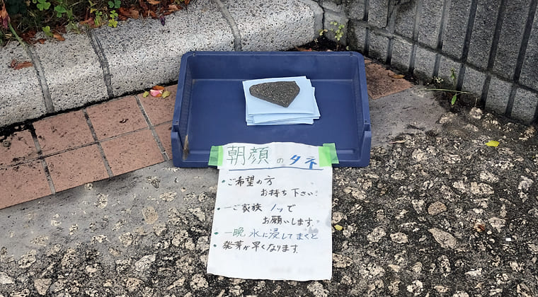 東京の東の端からわたしのウォーキング記録（2025.5.11）2