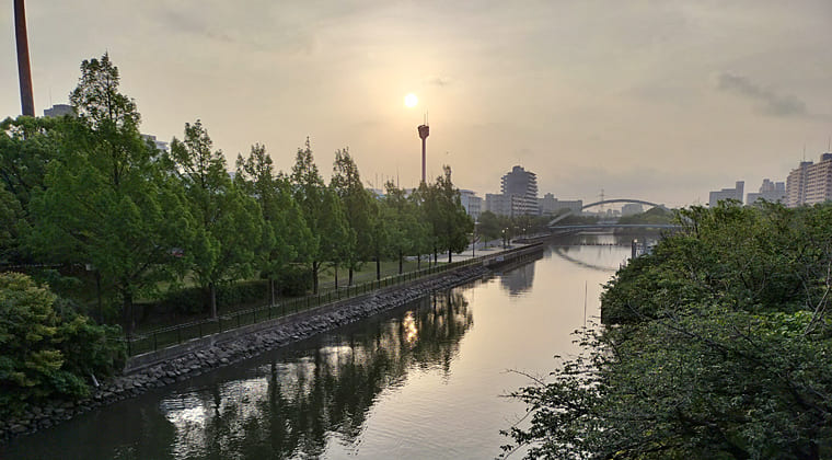 東京の東の端からわたしのウォーキング記録（2025.5.20）1