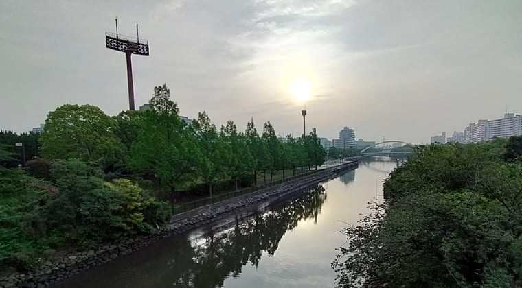 東京の東の端からわたしのウォーキング記録（2025.5.21）1