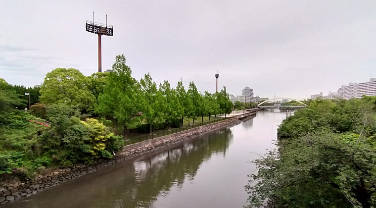 東京の東の端からわたしのウォーキング記録（2025.5.22）1