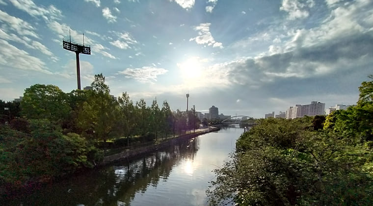 東京の東の端からわたしのウォーキング記録（2025.5.28)1