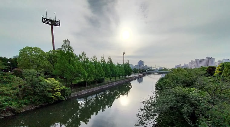 東京の東の端からわたしのウォーキング記録（2025.5.29)1