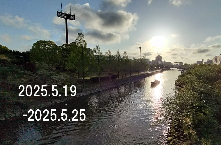 東京の東の端から「わたしのウォーキング記録」（2025・5月4週）