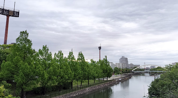 東京の東の端からわたしのウォーキング記録（2025.6.1)1