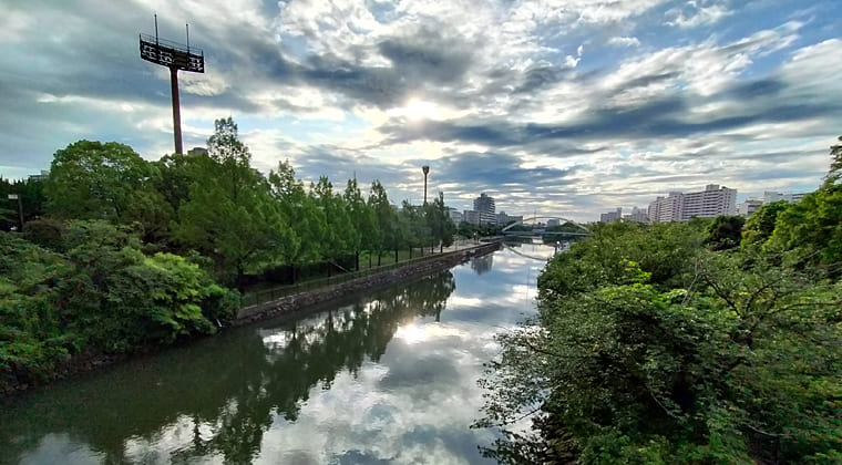 東京の東の端からわたしのウォーキング記録（2025.6.16)1