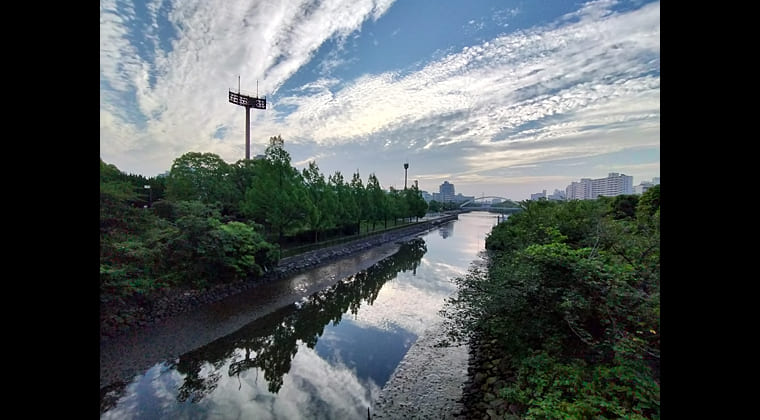 東京の東の端からわたしのウォーキング記録（2025.6.19)1