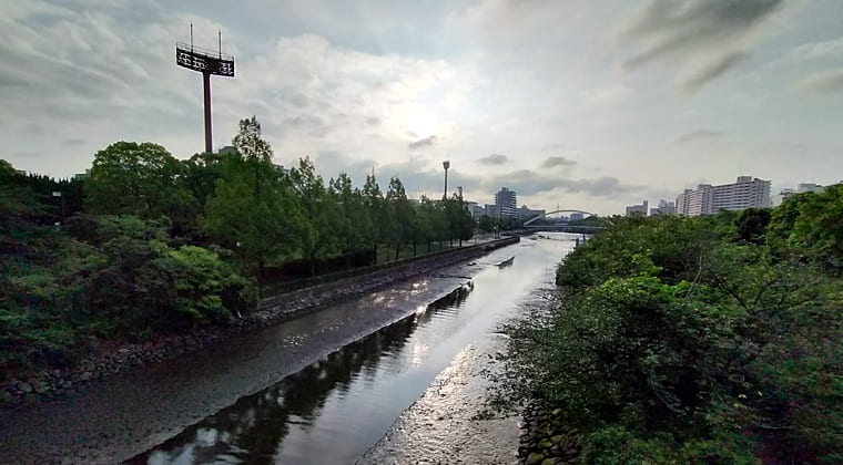 東京の東の端からわたしのウォーキング記録（2025.6.20)1