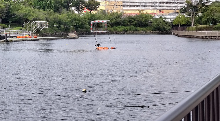 東京の東の端からわたしのウォーキング記録（2025.6.23)2