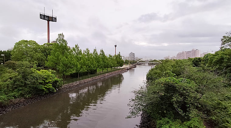 東京の東の端からわたしのウォーキング記録（2025.6.24)1