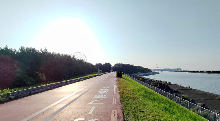 東京の東の端からわたしのウォーキング記録（2025.6.29)1