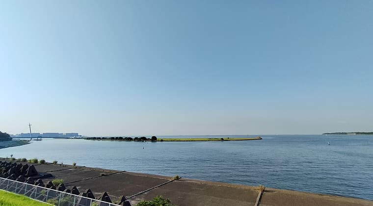 東京の東の端からわたしのウォーキング記録（2025.6.29)2