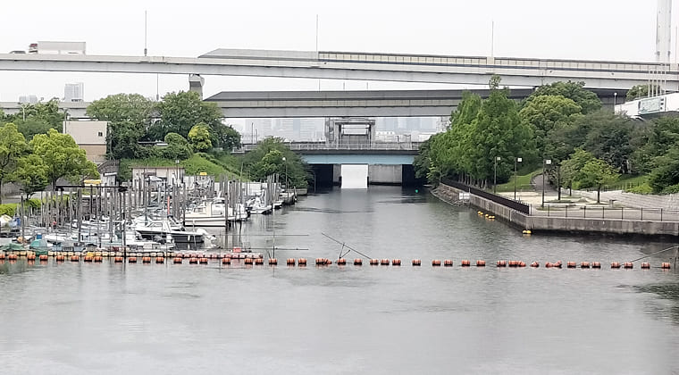 東京の東の端からわたしのウォーキング記録（2025.6.3)1