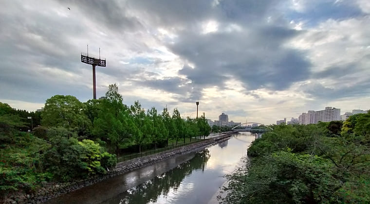 東京の東の端からわたしのウォーキング記録（2025.6.4)1