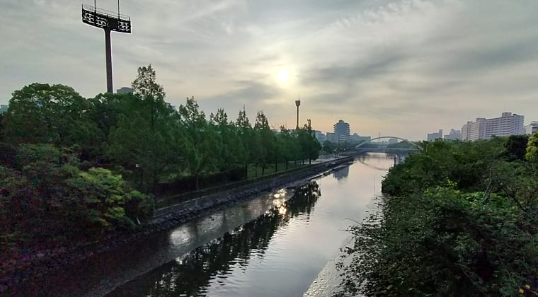 東京の東の端からわたしのウォーキング記録（2025.6.6)1