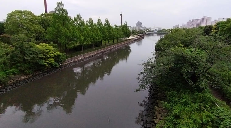 東京の東の端からわたしのウォーキング記録（2025.6.8)1