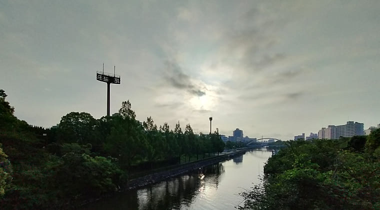 東京の東の端からわたしのウォーキング記録（2025.7.1)1
